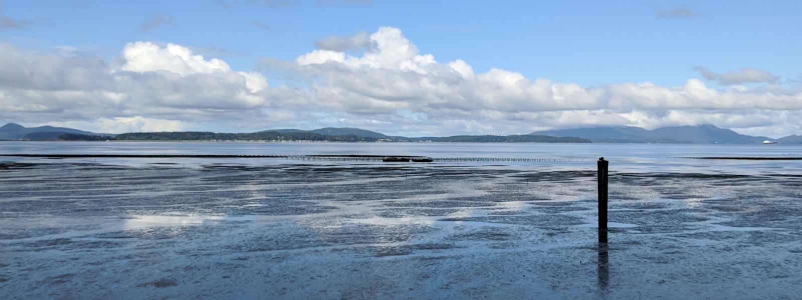 Samish Bay, Bellingham, WA, photo by C. Hamilton